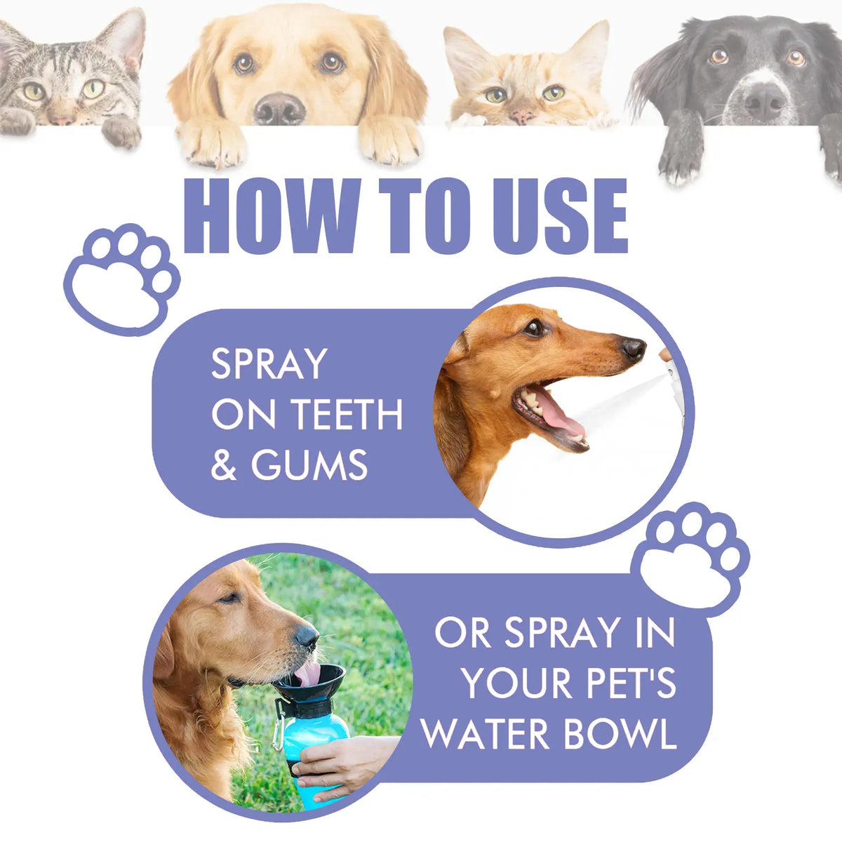 Oralpaw™ 🍃NO BRUSHING oral care spray for dogs cats