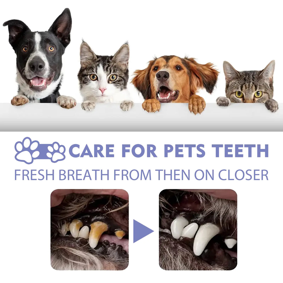 Oralpaw™ 🍃NO BRUSHING oral care spray for dogs cats