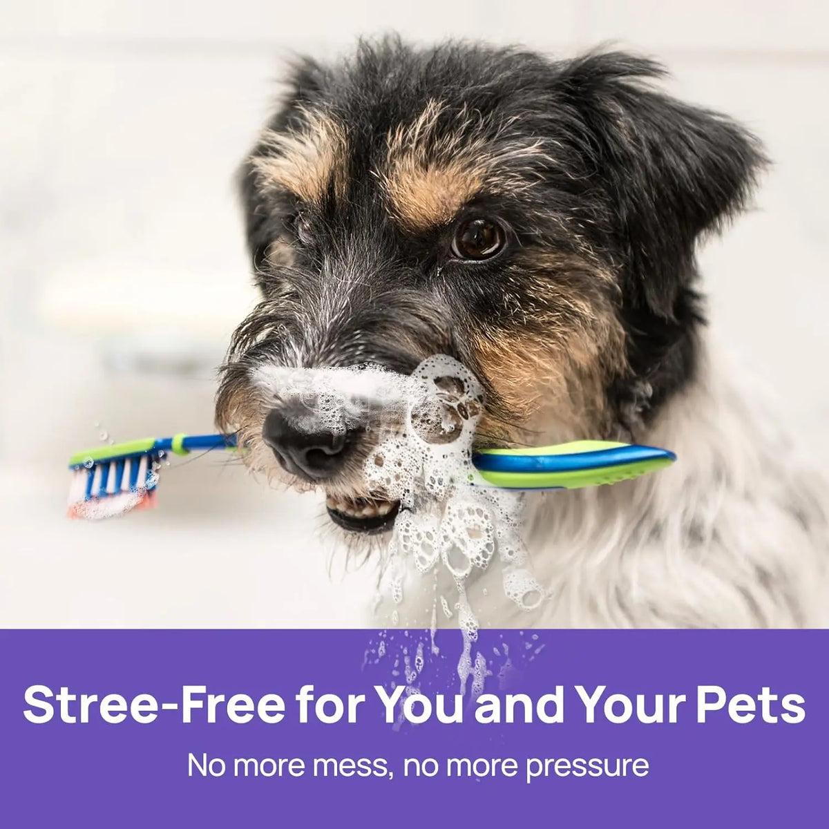 Oralpaw™ 🍃NO BRUSHING oral care spray for dogs cats